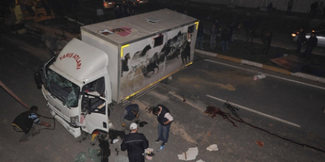 Malatya'da yarış atlarını taşıyan kamyonet devrildi