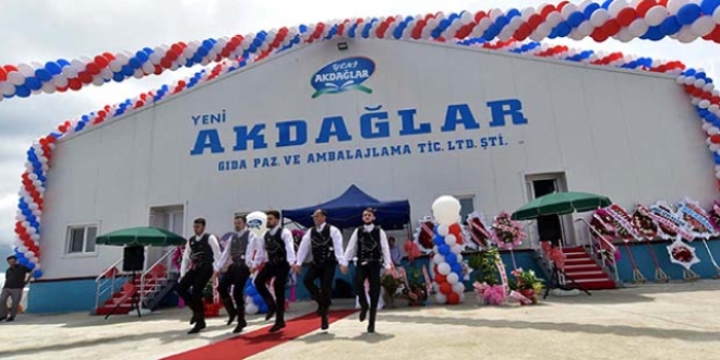 Trabzon'da dağı tıraşlayıp OSB kurdular