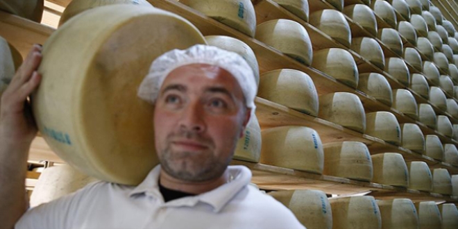 Avrupa'nn nl peynirleri Antalya'da retiliyor