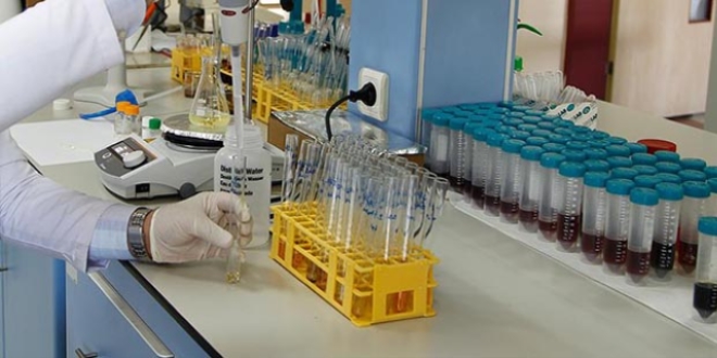 Japon bilim adamları biyolojik saati değiştiren molekül üretti