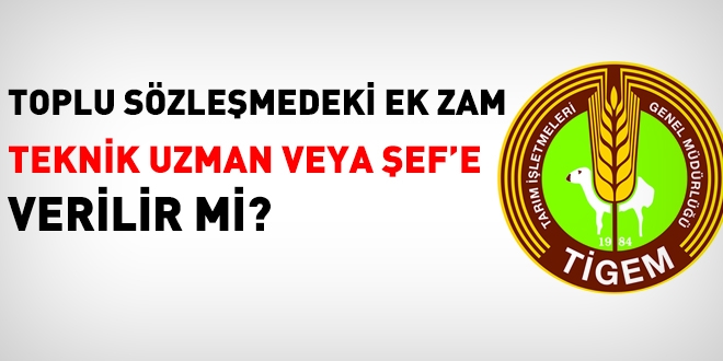 Teknik uzman veya teknik ef, toplu szlemedeki ek zamm alr m?