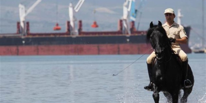 TSK'nın atları Bursa'da böyle eğitiliyor