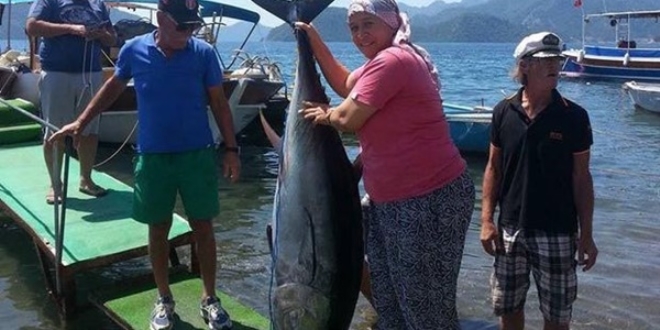 Marmaris'te kadın muhtar, boyundan büyük orkinosu oltayla yakaladı