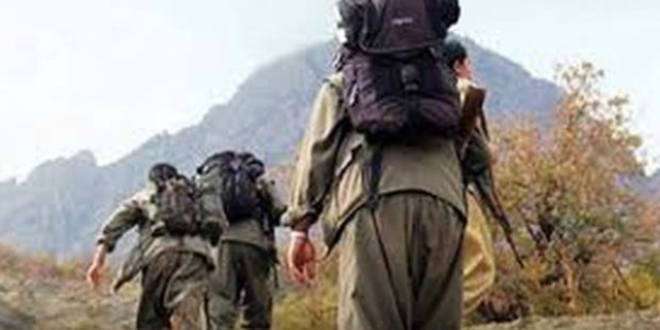 Giresun'da çatışma: 1 terörist öldürüldü