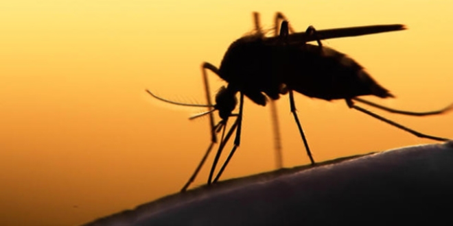 Zika'da en riskli 9. ülkeyiz
