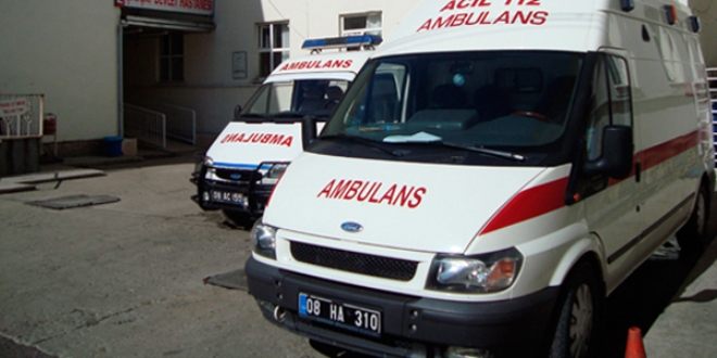 Artvin'de otomobil uçuruma yuvarlandı: 2 ölü, 1 yaralı