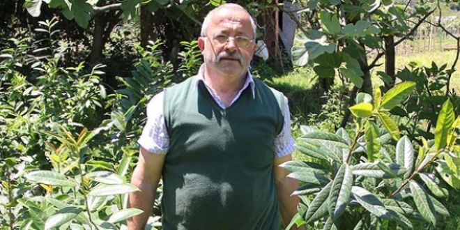 Çevreci taksici ilçesini meyve ağaçlarıyla donattı