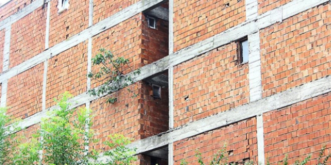 Binanın dış cephesinde incir ağacı yetişti