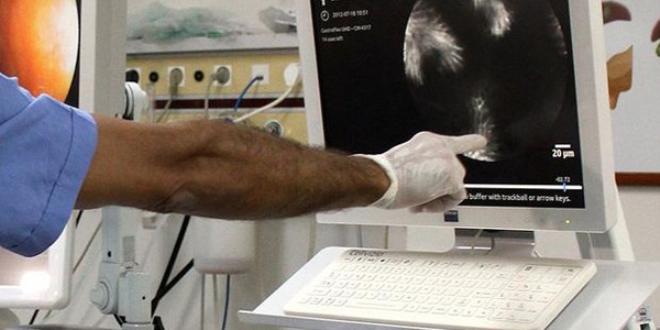 Türkiye'deki gastroloji uzmanı sayısı azalıyor