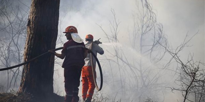 Antalya'da bir orman yangını daha