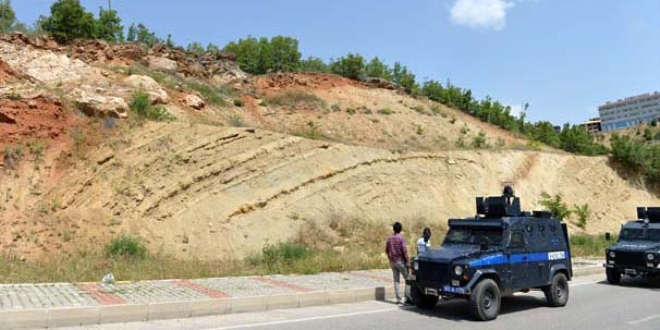 Güvenlik güçleri, yaban keçileri için böyle önlem aldı