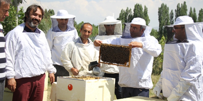 retim yeleri bal retecek