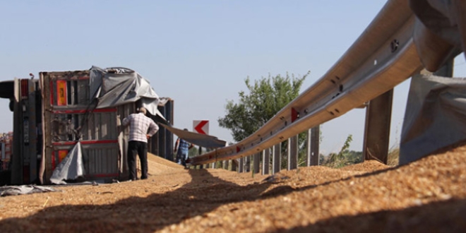 TIR devrildi, 26 ton buğday yola saçıldı
