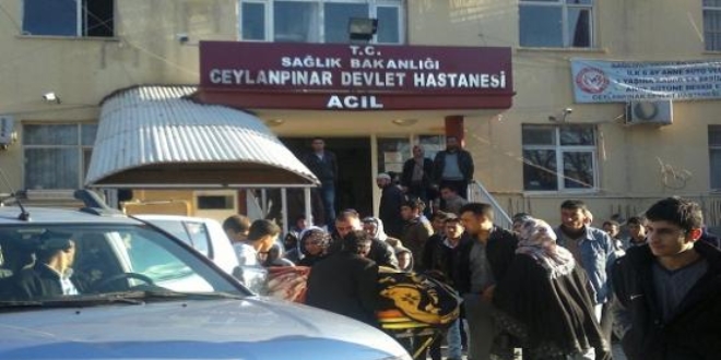 Şanlıurfa'da elektrik akımına kapılan 2 kişi öldü