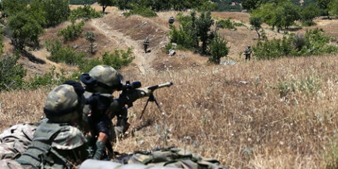 Lice'de PKK'ya yönelik operasyonlar sürüyor