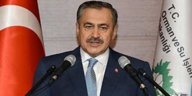 Eroğlu: Kumluca'daki yangın seradaki ateşten çıktı