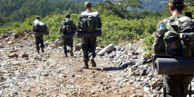 Lice'de 1 terörist etkisiz hale getirildi, 2 terörist sağ yakalandı