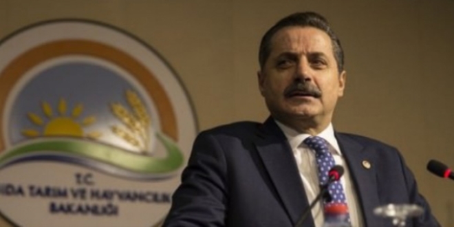 Bakan Çelik: O cezaların hepsini kaldırıyoruz