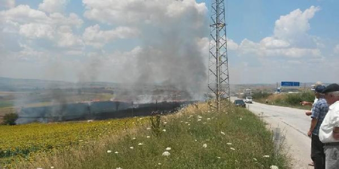 Anız yakmak, toprağın organik maddesini bozuyor