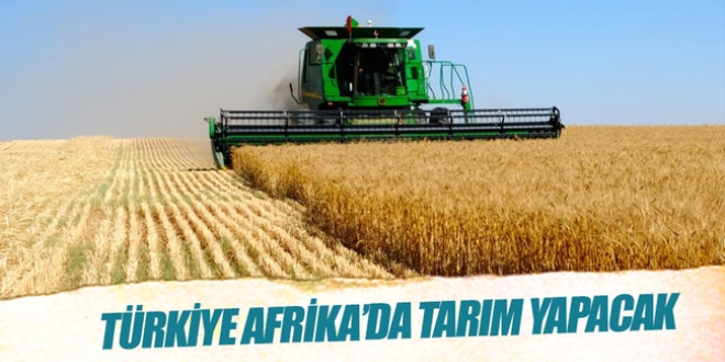 Sudan'da tarım, Cibuti'de hayvancılık