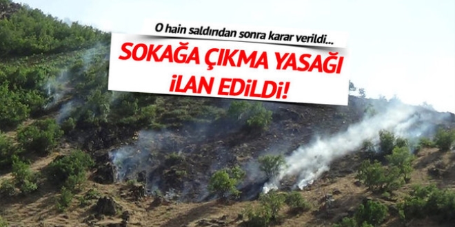 Şemdinli'de sokağa çıkma yasağı