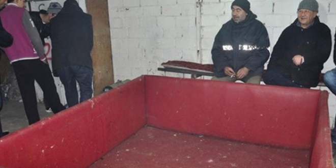 'Horoz dövüşü' operasyonu