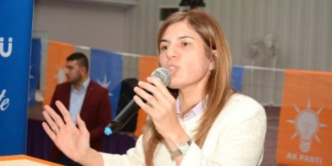 'Anayasa ve başkanlık sistemi, memleket meselesidir'