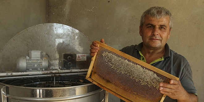 Kestane balı üreticisini sevindirdi