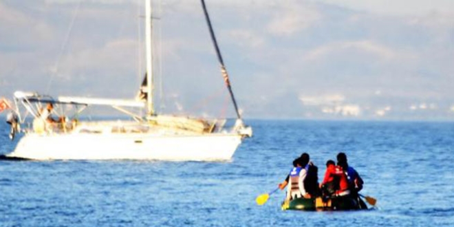 Bodrum'da 45 kaçak kurtarıldı