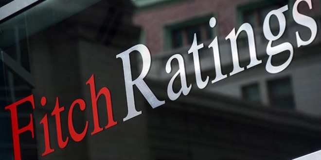 'Fitch'in düzenlemesi Türkiye'ye has değil'
