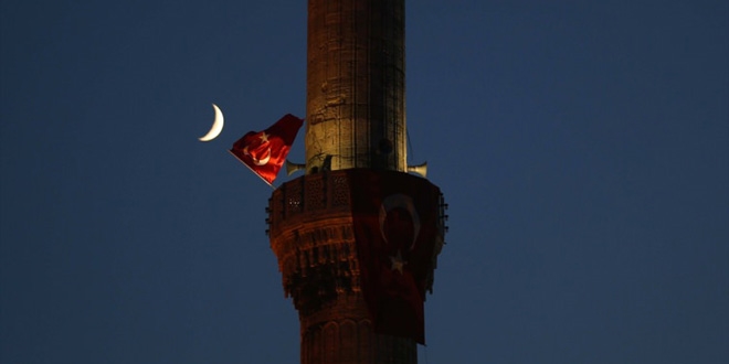 İstanbul'da tüyleri diken diken eden görüntü