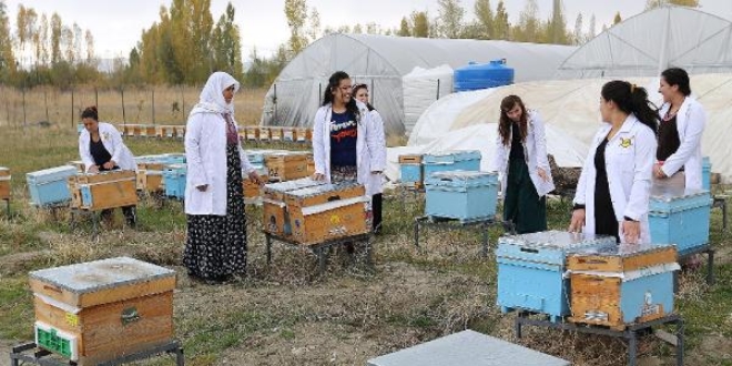 Kadınlardan ev ekonomisine 'bal' gibi katkı