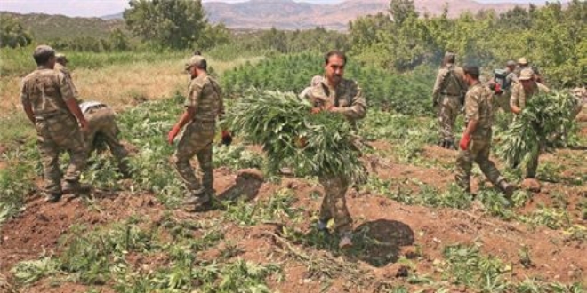 Diyarbakır'daki terör operasyonunun detayları ortaya çıktı
