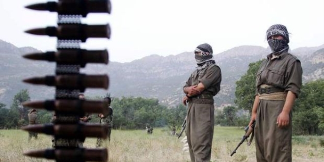 Bingöl'de PKK'lı teröristler köylüyü kaçırdı