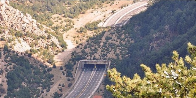 Orman Bakanlığı'ndan, yaban hayatı korumak için örnek proje
