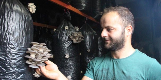 İşçiliği bırakıp mantar üreticisi oldu