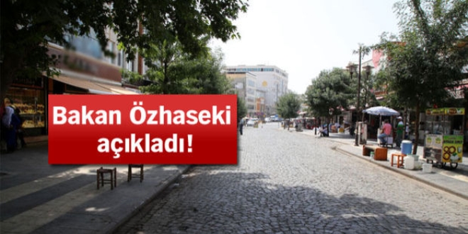 Bakan Özhaseki, Sur projesini anlattı
