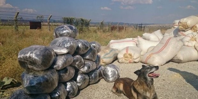 Saman kamyonunda PKK esrarı çıktı
