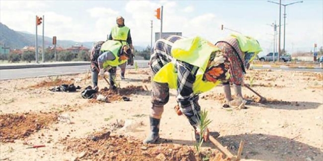 1 milyon kişi toplum yararına çalıştı