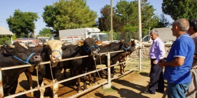 Orman ve Su leri Bakanlndan orman kyllerine destek