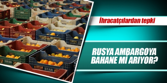 Rusya ambargoya bahane mi arıyor?