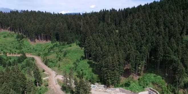 Cerattepe için karar günü