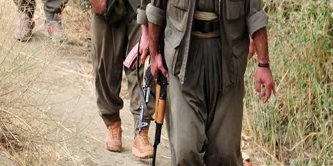 Hakkari'de bugüne kadar 301 PKK'lı etkisiz hale getirildi