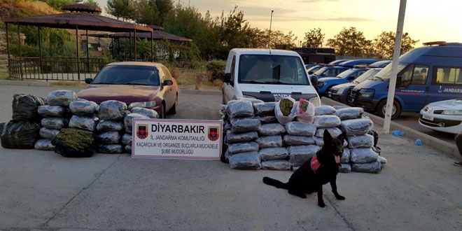 Diyarbakr'da 345 kilogram esrar ele geirildi