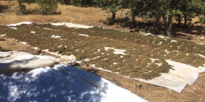 Diyarbakır Lice'de PKK'ya darbe