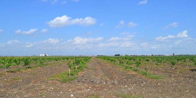 Adana'da ak tarm cezaevi yaplacak