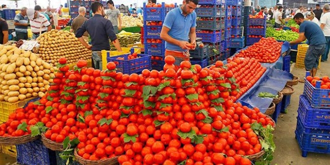 Domatesin fiyatı üreticinin yüzünü güldürdü