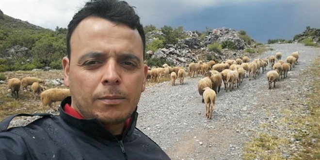 İtfaiye aracı uçuruma yuvarlandı: 2 ölü, 1 yaralı