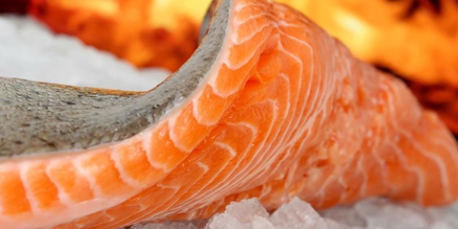 Somonda bulunan omega 3 miktarı azaldı