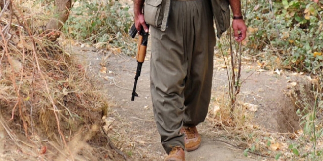 Şanlıurfa'da bir terörist yakalandı